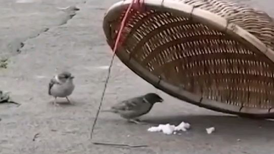 这或许就是爱吧